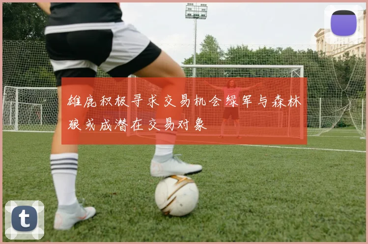 雄鹿积极寻求交易机会绿军与森林狼或成潜在交易对象